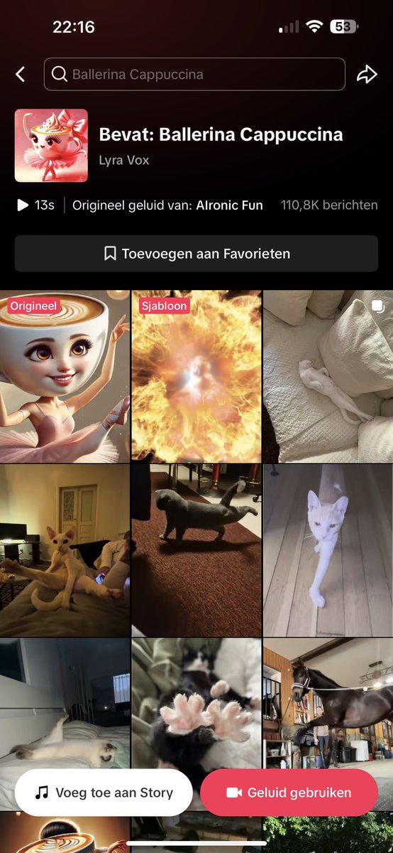 koningarda's tweet photo. @Noahhcalls #ballerina

Viral tiktok brainrot meme combined with pets

Over 100k+ in used sounds 

Millions of likes &amp; vies

BALLERINA CAPPUCINA🩰🩰🩰🩰🩰

FYrS8SrnuzAZsV3PQVekPzp967tWmnV1Nj9QrHQ6pump https://t.co/m4TILUugGk