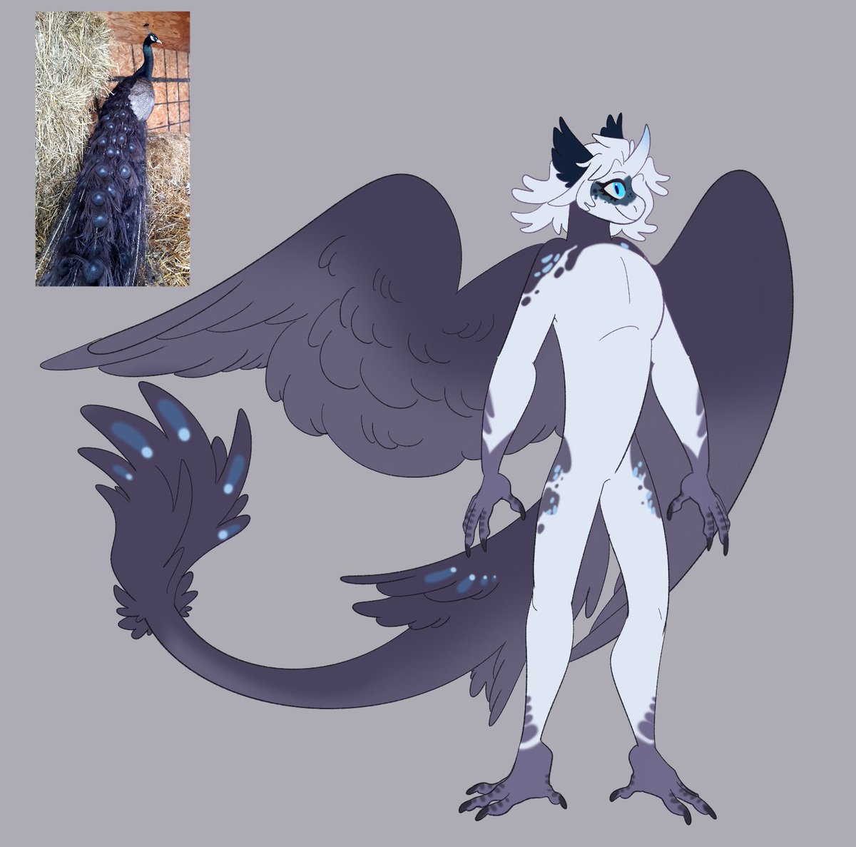 I like this design. birddragon