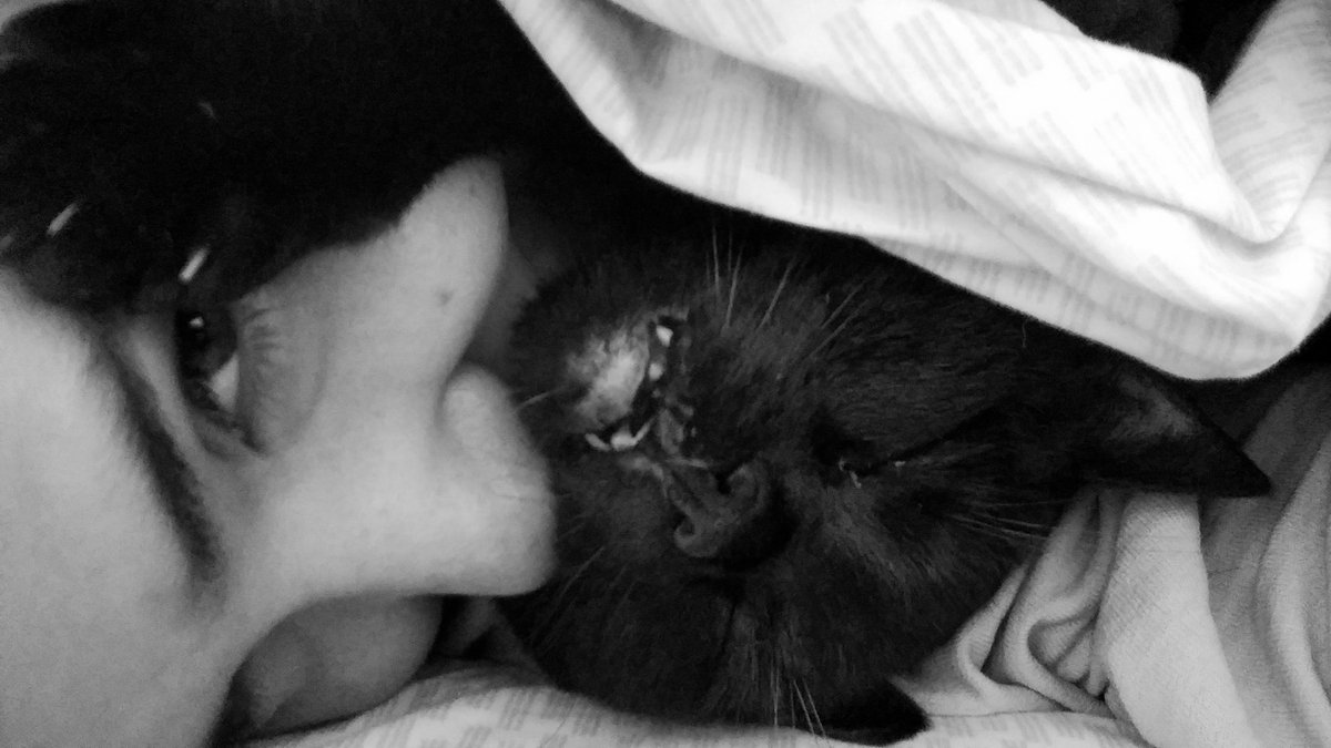 jumistik's tweet photo. La negrita más adorable del planeta con una mirada de querer almas insaciablemente, Pimienta.

"Golden slumbers fill your eyes
Smiles awake you when you rise
Sleep, pretty darling, do not cry
And I will sing a lullaby"

Rata callejera 🐀🖤 https://t.co/UxdolmrwAU