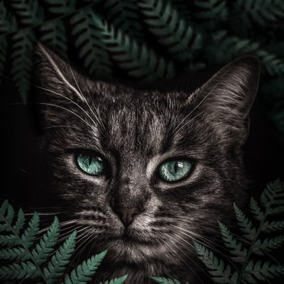 EmmanuelAdedap5's tweet photo. #NewProfilePic https://t.co/MmqrgWduhq