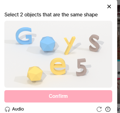 bro why did this tiktok captcha call me gay😭