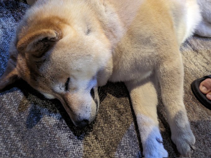 皆さまおはよ〜ございます🌧️
お仕事が始まる… 