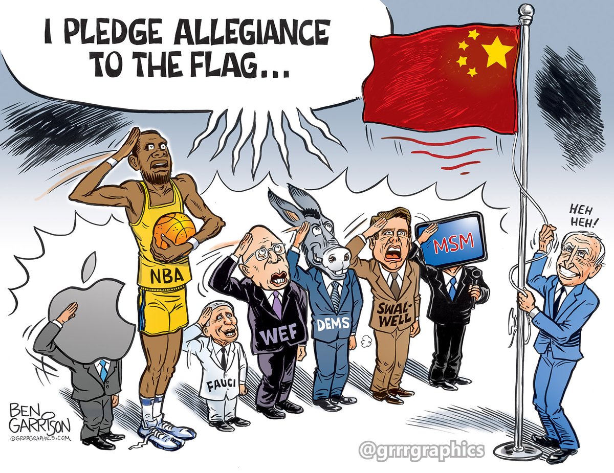 Have the Democrats started putting the China flag in their bios yet?