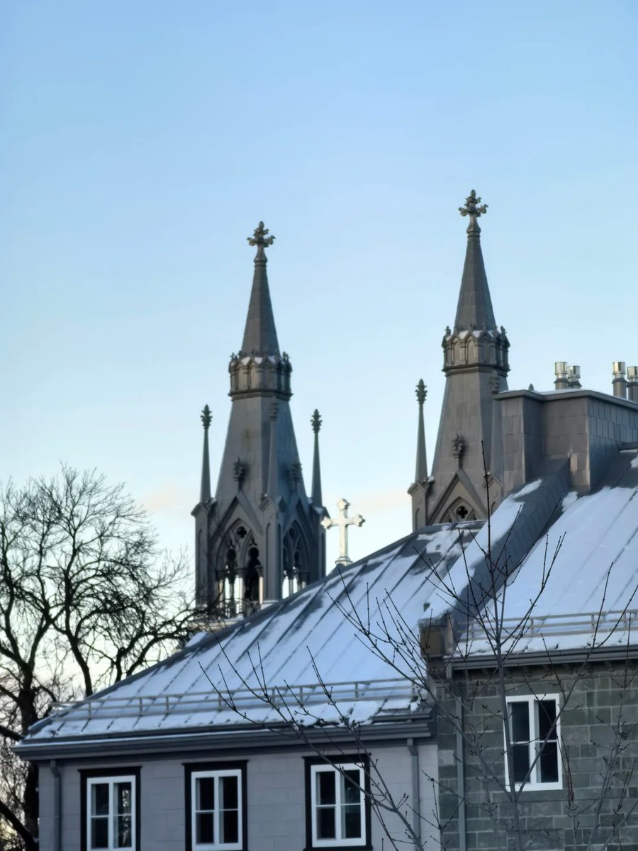 gyufjtyk's tweet image. 