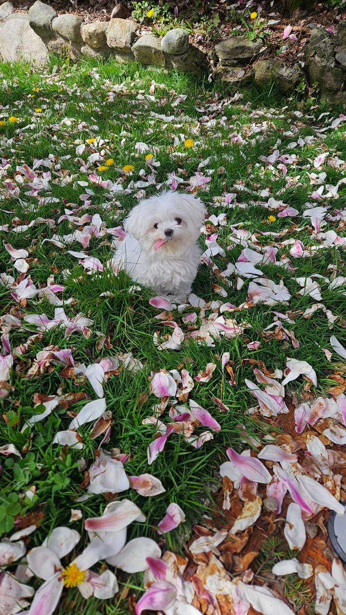 Madelyn Summers 🪩 tweet media