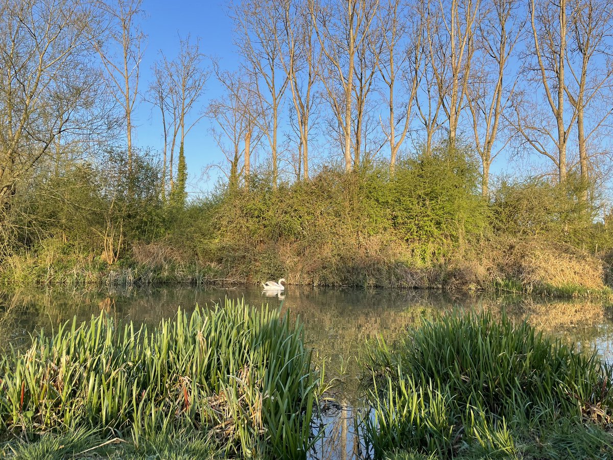 27 miles walked/run this week. This weeks photo theme is ‘photos taken whilst on an early morning run’ new total 356 miles #NHS1000miles #nhs1000miles