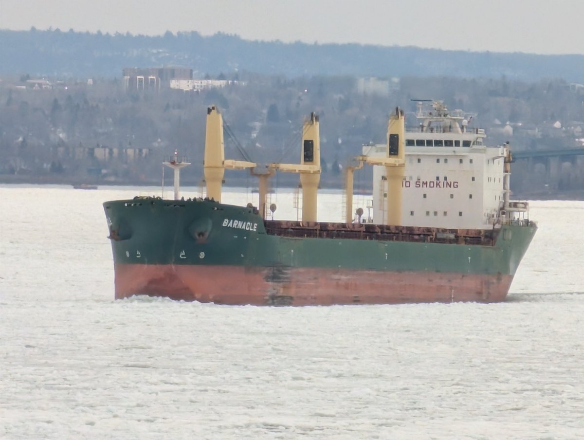 TBH, this much ice in Mid-April, not cute anymore. The novelty is gone. 
<a href="/USCG/">U.S. Coast Guard</a> Can you please get these bay class cutters up at the Soo to start skimming this ice with big ol pool skimmers? We're all sick of the stuff.