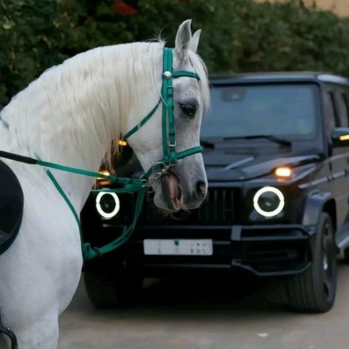 #صورة_ملف_شخصي_جديدة