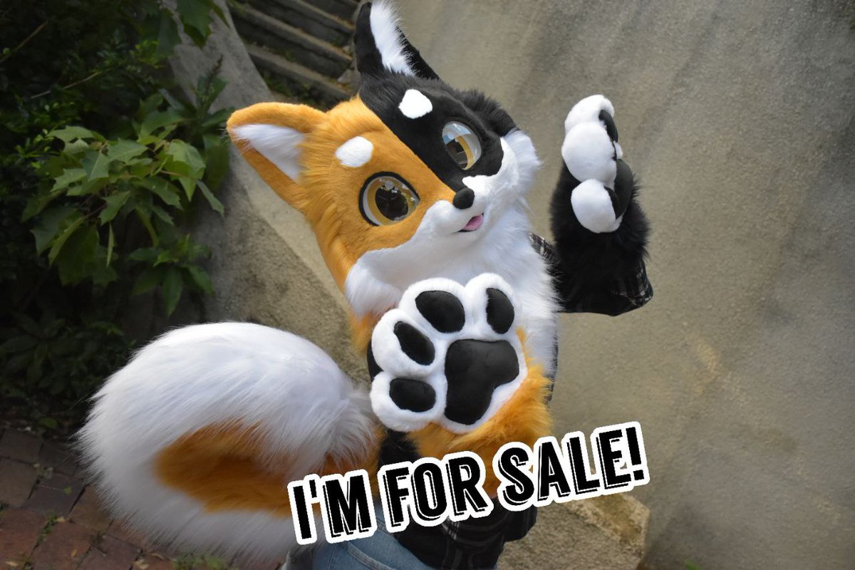 🐺✨Skyehighstudios✨🐺 tweet media