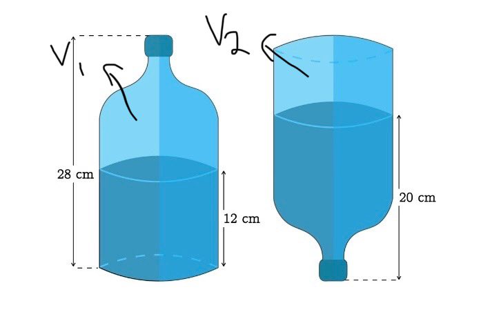 sally woodpecker 🐦 tweet media