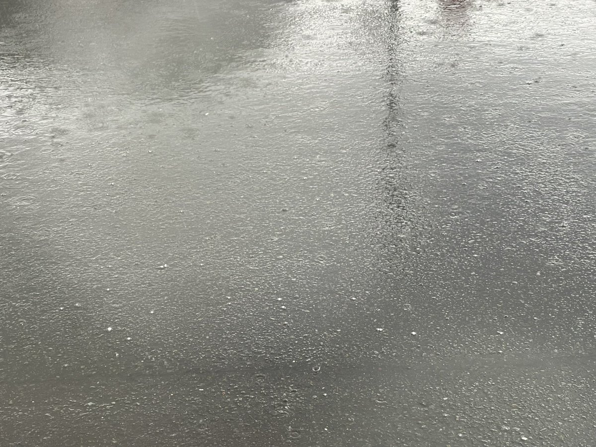 ktcnxy's tweet photo. 南国じゃ降らないと思ってた
人生初の雹？
雹だっけ？
車に乗っててものすごい音したからもうちょいしてから降りようと思ったら
降ってた🫢
すぐ消えたけど
この白いの粒々… https://t.co/zFPxANfMnp