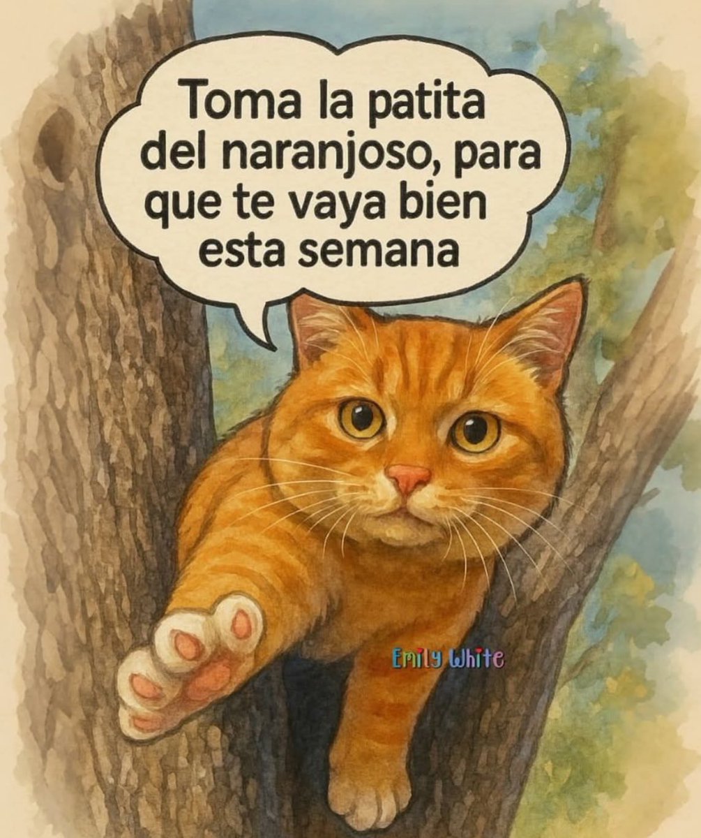 Feellg2's tweet image. 