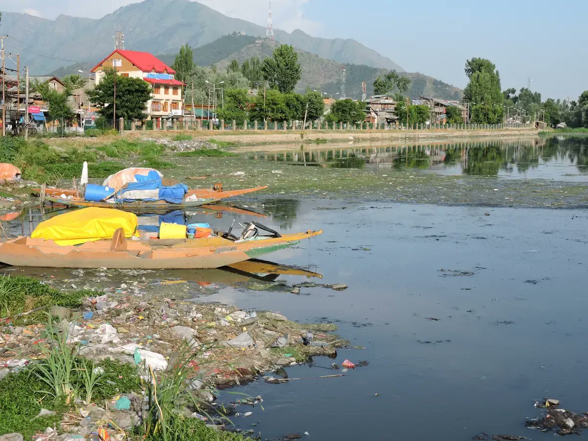 farah_qazi46480's tweet photo. Successive regimes failed to restore glory of Dal Lake’s lagoon.
#SaveDalLake
#NayaKashmir
#SafeWaterBody
#JammuAndKashmir https://t.co/Hm8hOrxiGl