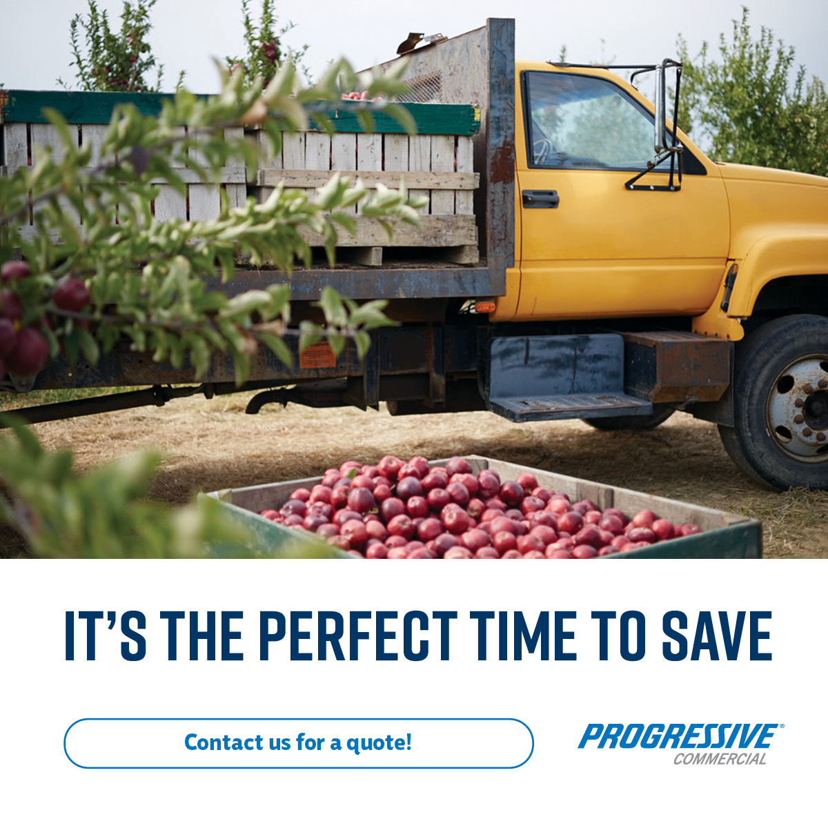 InsBrokerResrcs's tweet image. Savings are always in season with Progressive Commercial coverage! Let’s discuss how we can pick the right coverage for your business. 

#fall #fallbusiness #landscaper #snowplow #farmer #protectyourvehicles #commercialauto #pgragent