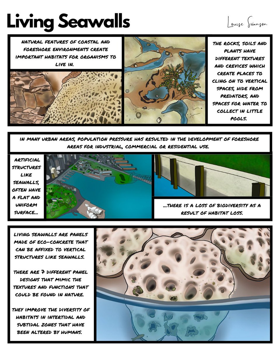 Living Seawalls are panels made of eco-friendly concrete that are designed to replicate micro-habitats found in nature. The different textures provide spaces for a range of species in intertidal and sub-tidal zones. 

#livingseawalls #ecoengineering #theharbourschoolsydney
