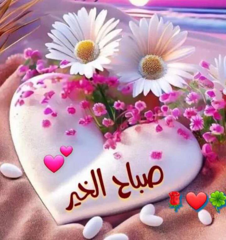 جميله (@nwrh1553458) on Twitter photo 