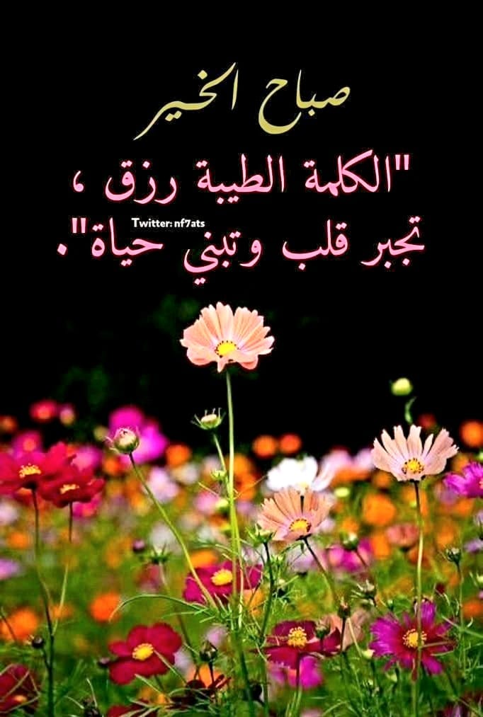 جميله (@nwrh1553458) on Twitter photo 