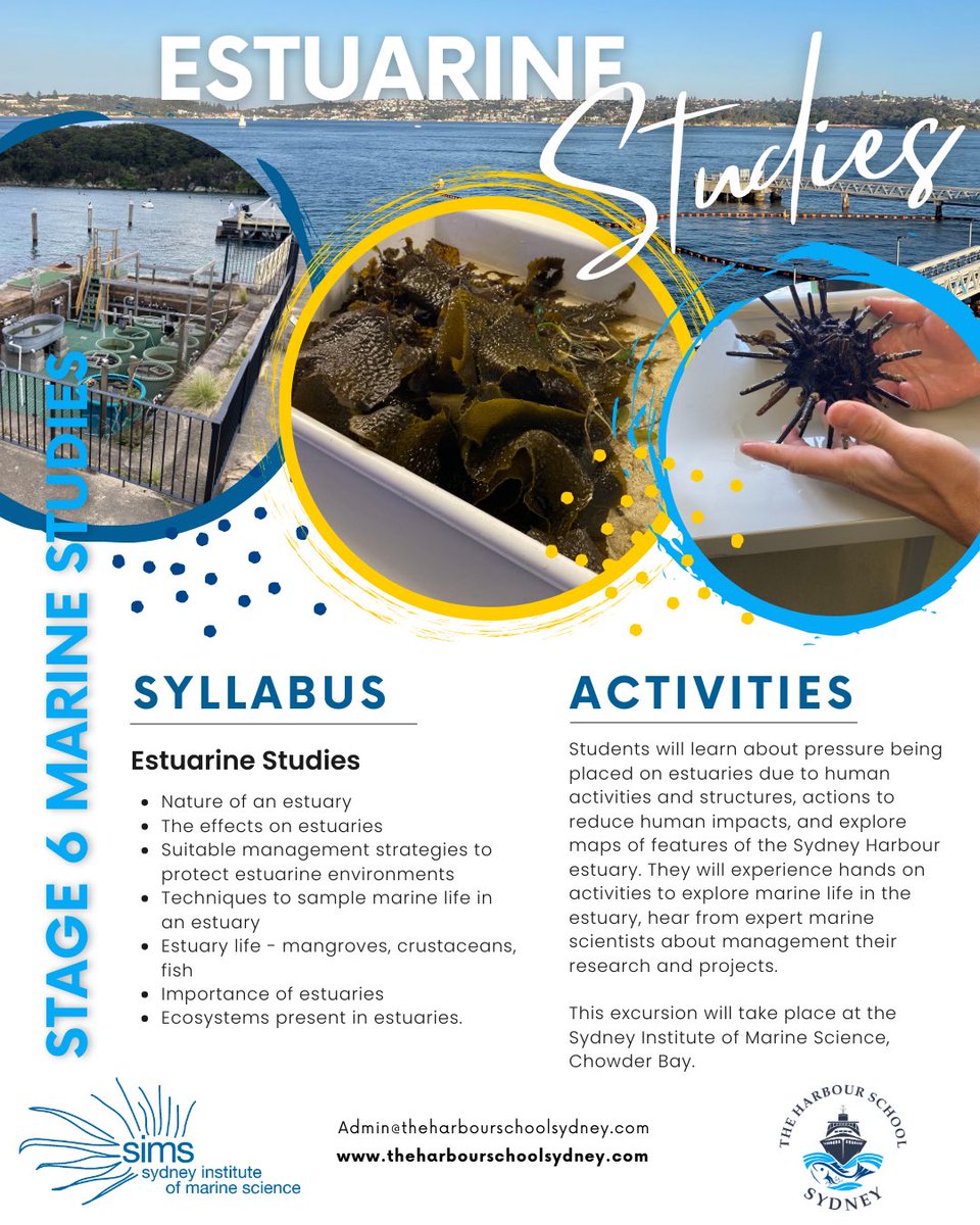 The Harbour School Sydney tweet media