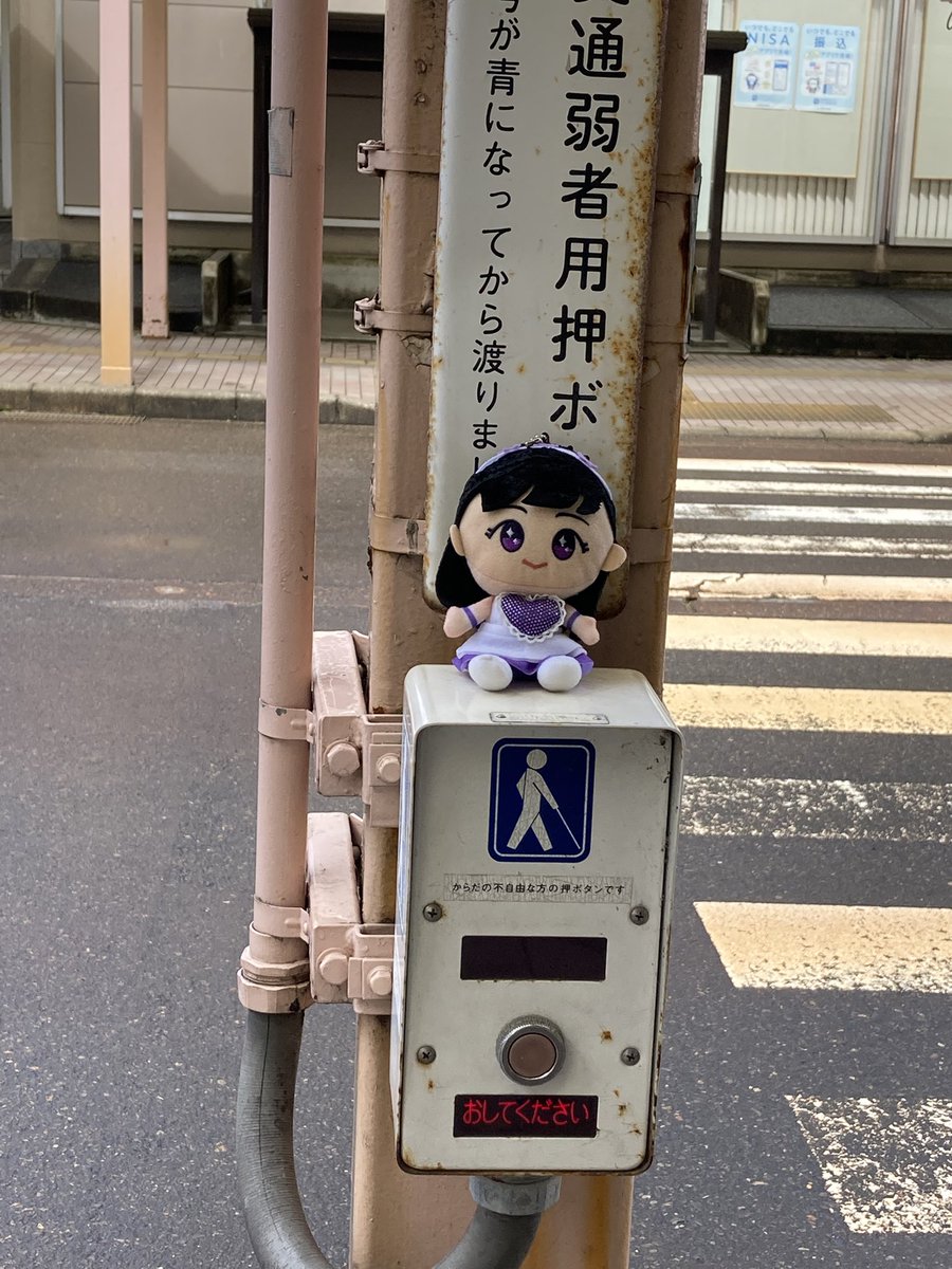 NGZ96794412's tweet photo. あら！れにちゃん！
市役所と��ンガポールのあたりの交差点にいました。
 #中止になっても春の一大事in新発田
#day3 https://t.co/FbNsPFNYbl