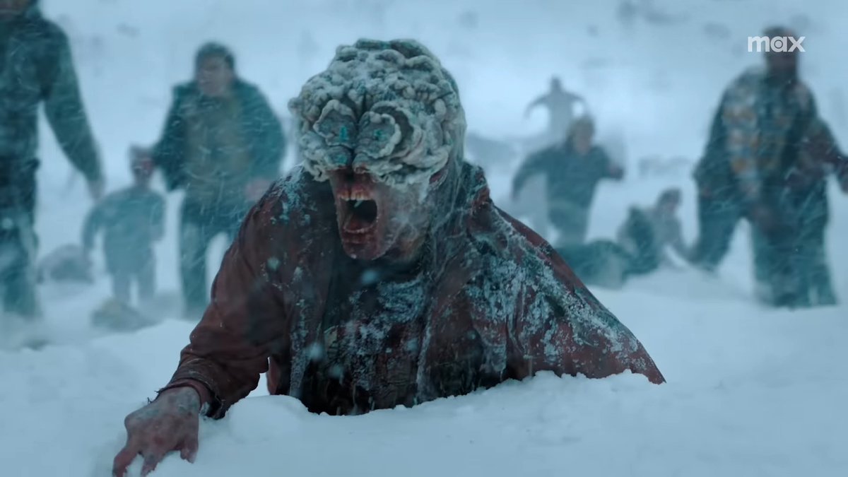 DomTheBomb tweet media