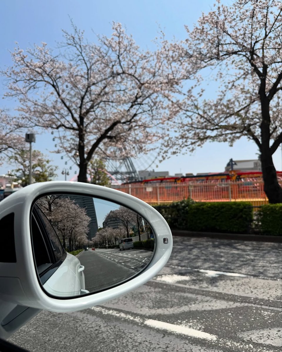 𝓑𝓵𝓸𝓸𝓶🌸🌸🌸