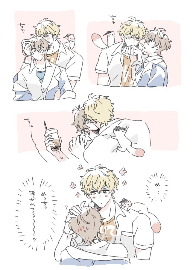 しま🐾 tweet media