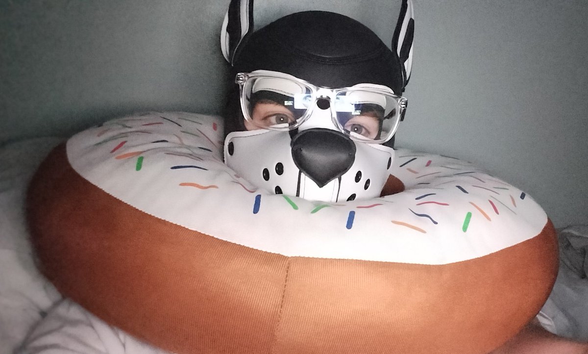 HailcoreBiker44's tweet photo. Tuxie, thee silly puppy

#gaypup https://t.co/IWf0vlhPIV
