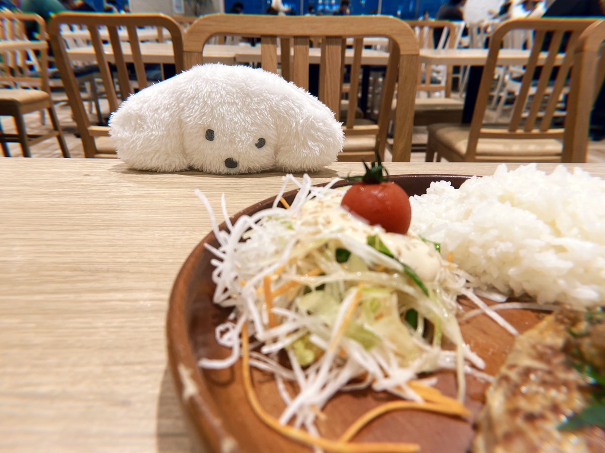 きなこ (@_kinakoxx) / Posts / X