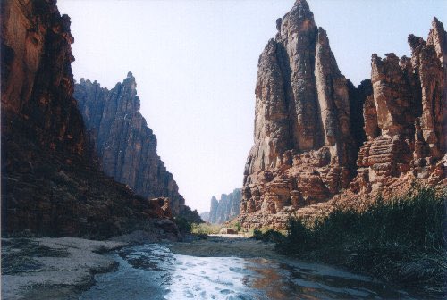 "اللهم اجعلني من الذين تُدَبَّر فرحتهم في السماء الآن وأمانيهم أوشكت أن تكون، اللهم اجعل لي نصيباً في سعة الأرزاق وتيسير الأحوال وقضاء الحاجات، اللهم أَخرجني من حَولي إلى حَولك ومن تدبيري إلى تدبيرك و من ضعفي إلى قوتك. 
صباح الخير