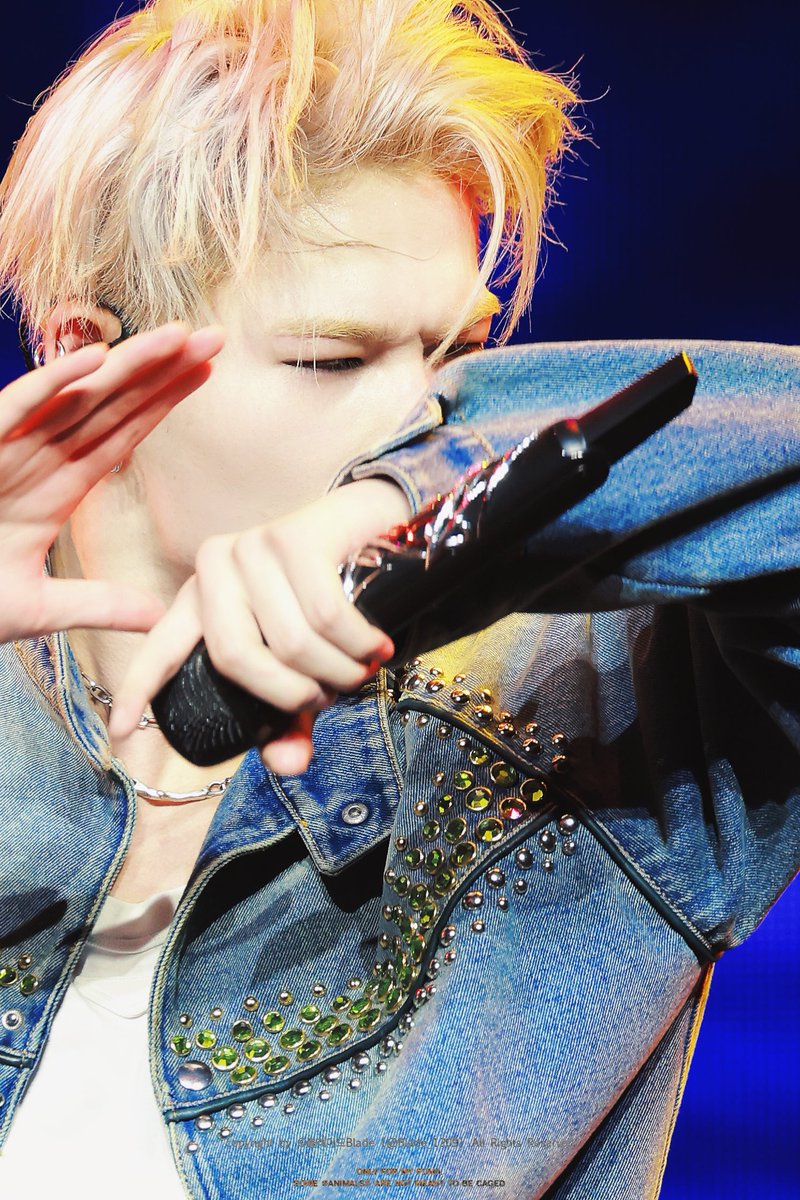 블레이드Blade tweet media