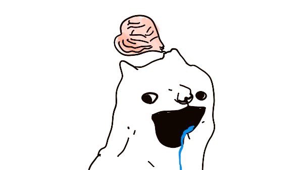 Doge tweet media