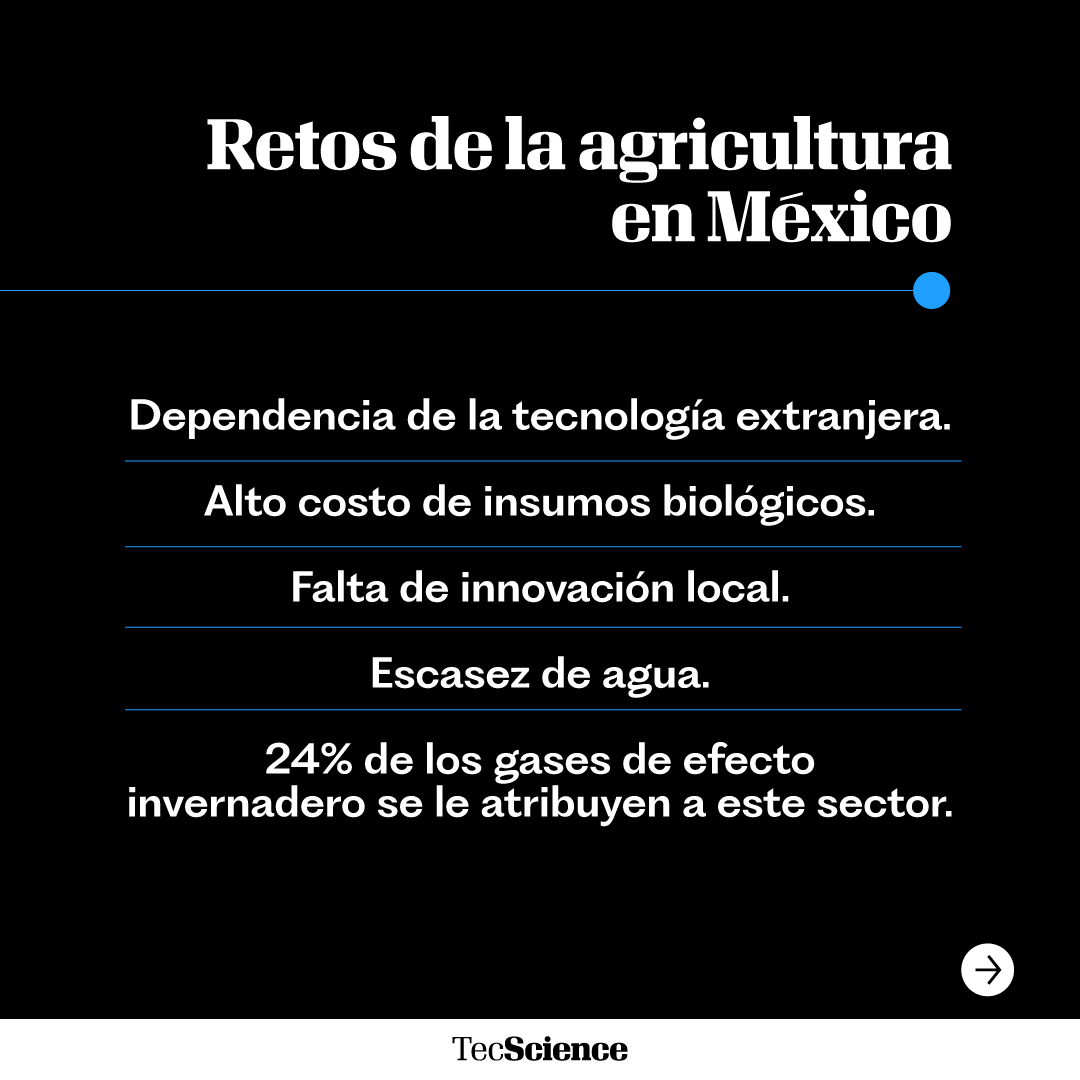 TecScience_'s tweet photo. #TecTalks 🌾 Durante el #TecScienceSummit 2025, Ashutosh Sharma, director del Departamento Regional de Bioingeniería del @TecdeMonterrey, habló sobre el papel estratégico del sector agrícola.

Destacó su impacto económico, laboral y los desafíos que enfrenta en México, como la necesidad de mejorar la producción y reducir la contaminación.

También presentó proyectos que buscan hacer la agricultura más eficiente y sustentable a través de la innovación. https://t.co/Qqda9p7v5O