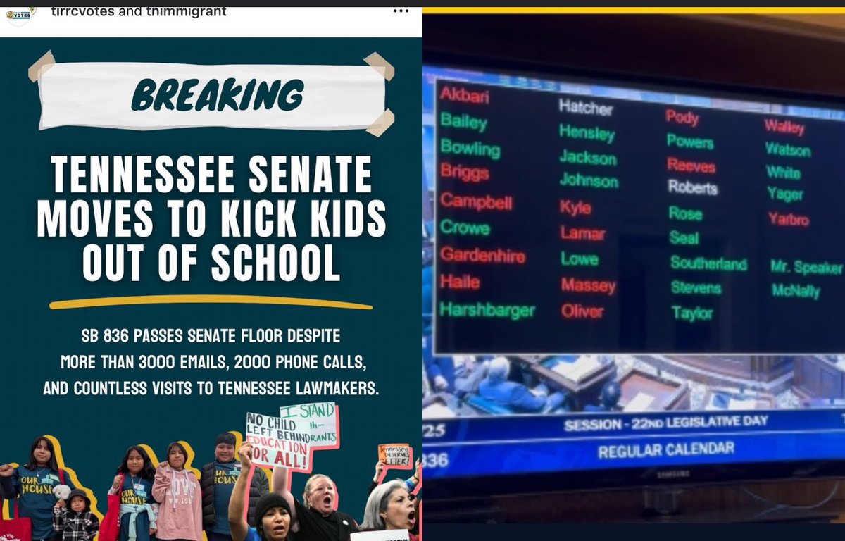 Emily Chadwick tweet media