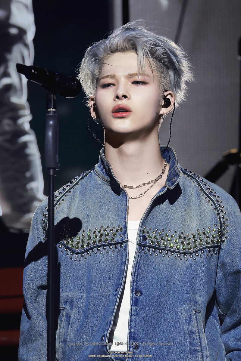 블레이드Blade tweet media