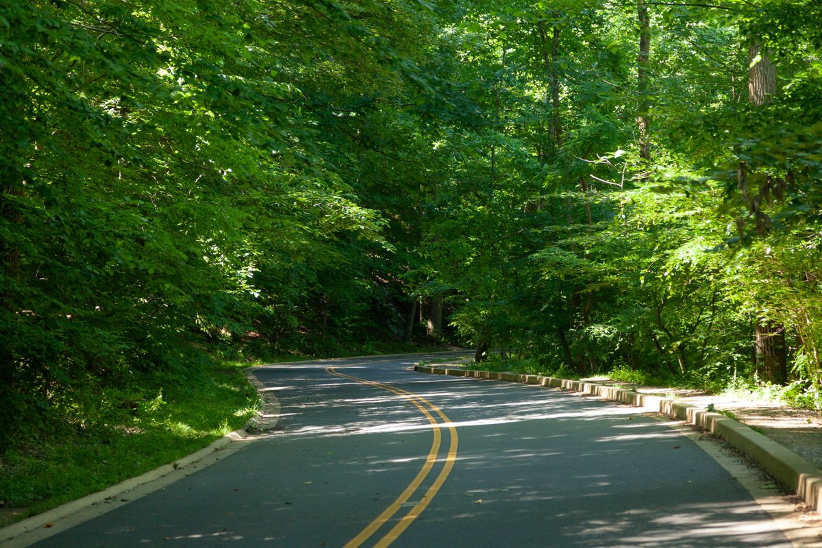 Rock Creek Park (@RockCreekNPS) / X Rock Creek Park (@RockCreekNPS) / X