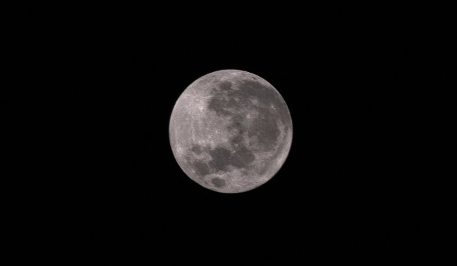 AlonsoThePoet's tweet photo. Last night's Pink Moon @ Flamingo Campground, Everglades National Park https://t.co/Xc4ADVBGH8