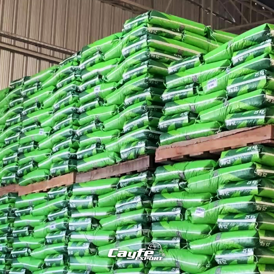 cayfe_export's tweet image. Tu cosecha, en buenas manos🤝🏽🌱

En Cayfe Export, acompañamos a los productores del campo argentino con un servicio de acondicionamiento de producción de alta calidad👏🏽

Acondicioná tu producción en nuestra planta de proceso🏭
📲Escribinos por más información al +549 3525 454056