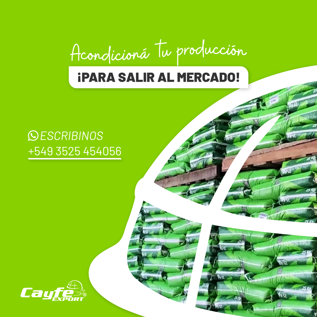 cayfe_export's tweet image. Tu cosecha, en buenas manos🤝🏽🌱

En Cayfe Export, acompañamos a los productores del campo argentino con un servicio de acondicionamiento de producción de alta calidad👏🏽

Acondicioná tu producción en nuestra planta de proceso🏭
📲Escribinos por más información al +549 3525 454056