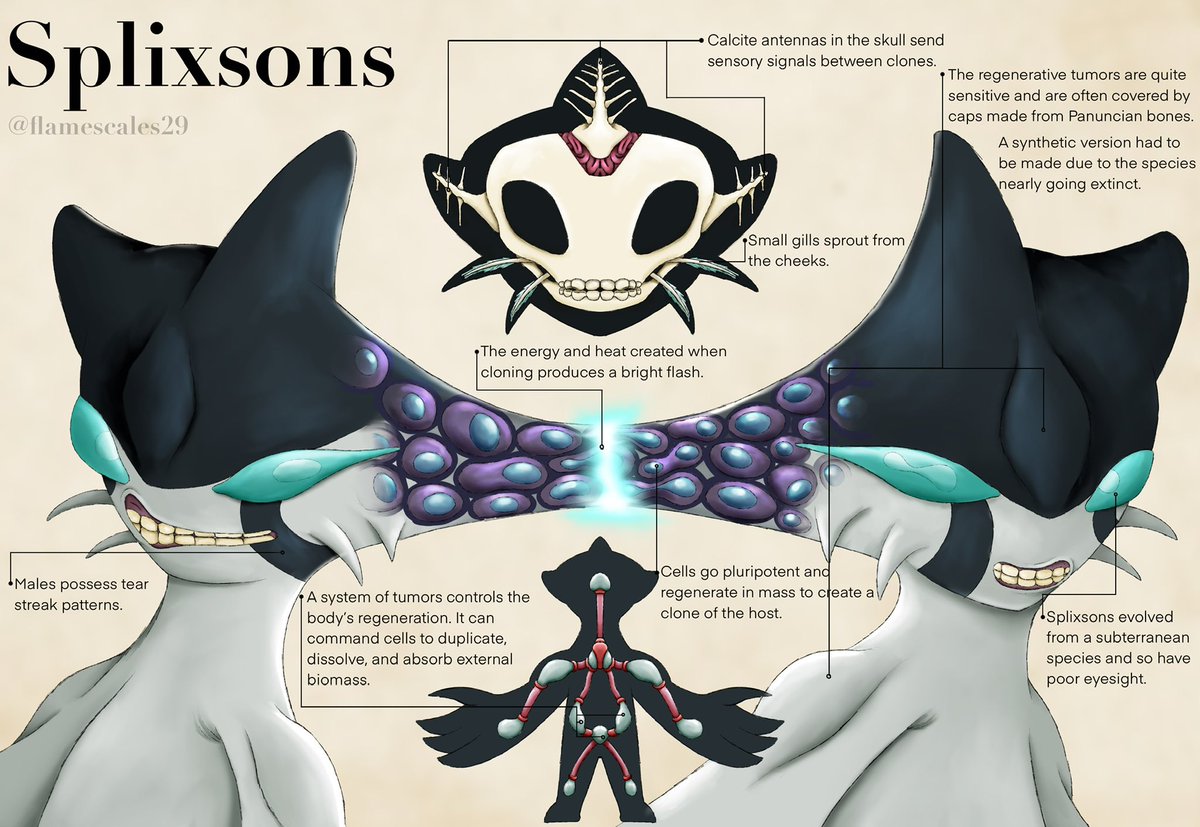 Splixsons, a race of small humanoids whose system of tumors allow for regeneration so fast that they can clone themselves. These clones are connected via biological antennas that share sensory information like pain.

#Ben10 #ben10art #speculativebiology #speculativeevolution