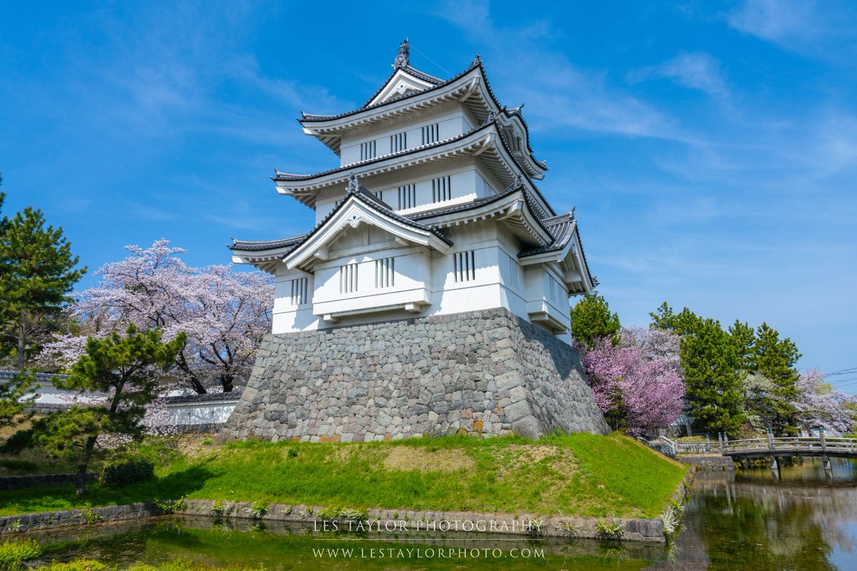 lestaylorphoto's tweet photo. Full bloom last week at Oshi Castle in Saitama Prefecture #japan #nikon #桜 #日本 #埼玉県 #行田市 https://t.co/xdqu3DkyJa