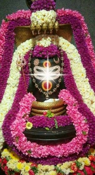 <a href="/subramaniangood/">🌸 𝐑𝐀𝐉𝐀𝐒𝐔𝐁𝐑𝐀𝐌𝐀𝐍𝐈𝐀𝐍 𝐒 🌸</a>
<a href="/saattooran/">ஜானகிராமன்</a> 
<a href="/bpthilakavathi/">Palani Balaraman</a>
<a href="/adalarasan1949/">Adalarasan Appu</a> 
<a href="/mythilitvb/">TV BALASUBRAMANIAN</a> 
<a href="/nparama1951/">N.Paramasivam</a> 
<a href="/paramasiva1139/">paramasivam natarajan</a> 
#மாய் குழுமத்திற்கு அன்பு வணக்கங்கள் 🙏🙏🙏🙏