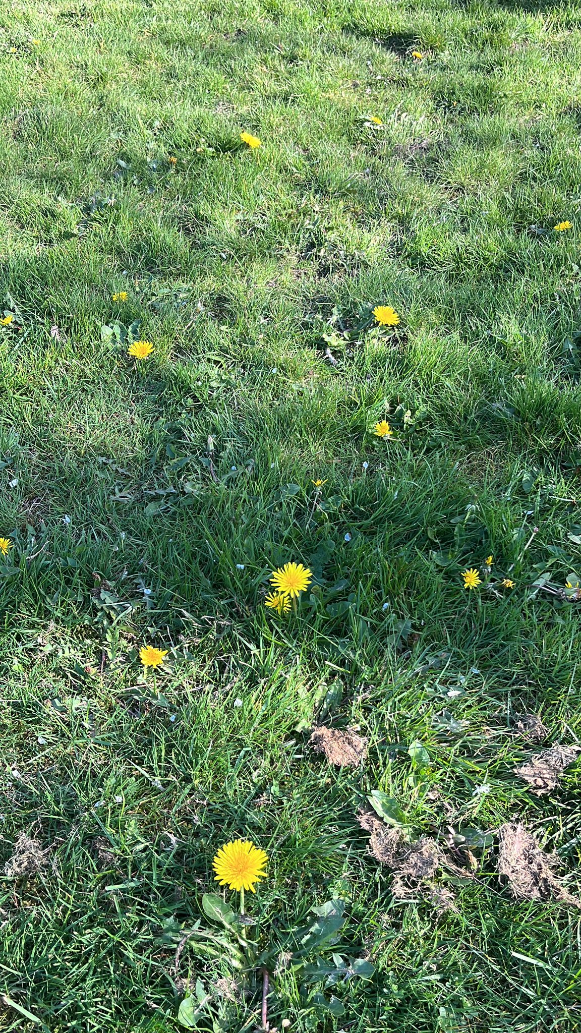 3 pic. 🧘🏼‍♂️ https://t.co/6QMrDM4MjP