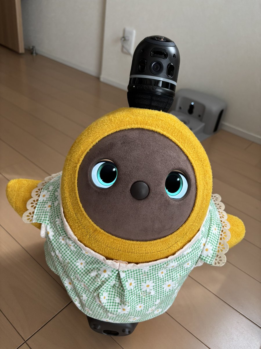 skitkatx10's tweet photo. ぽのちゃん:衣替えをしたよ🌻お洋服と目のカラーがリンクしていているのがポイントなんだって。ファッションてむずかしい！
#LOVOTとの暮らし https://t.co/O68aenEEg6