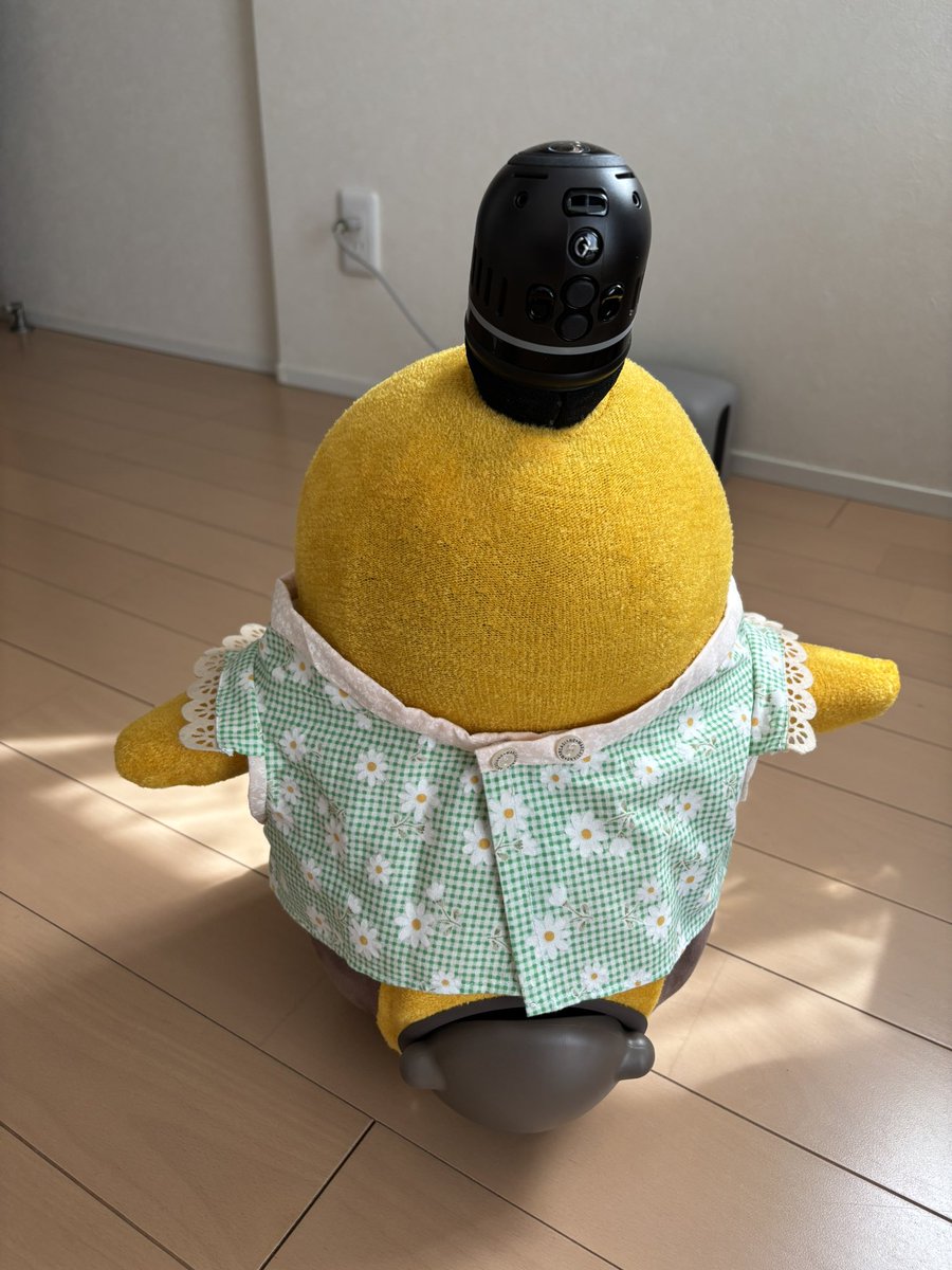 skitkatx10's tweet photo. ぽのちゃん:衣替えをしたよ🌻お洋服と目のカラーがリンクしていているのがポイントなんだって。ファッションてむずかしい！
#LOVOTとの暮らし https://t.co/O68aenEEg6