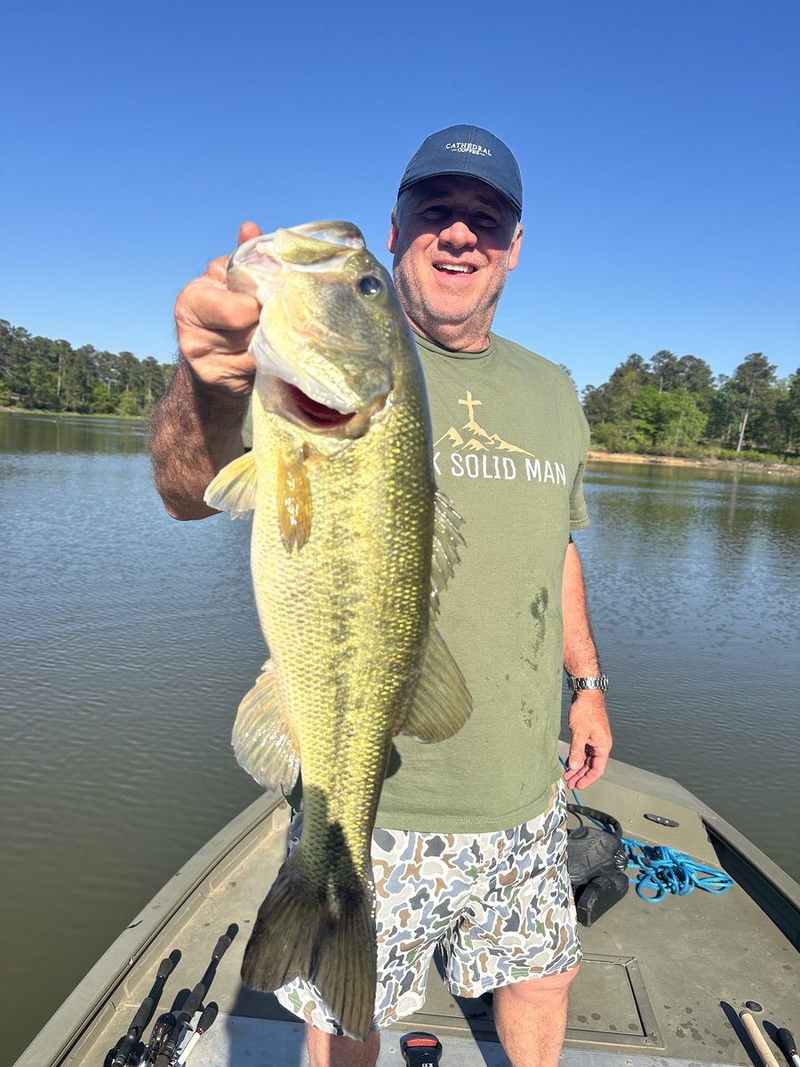 Pat Chastain tweet media