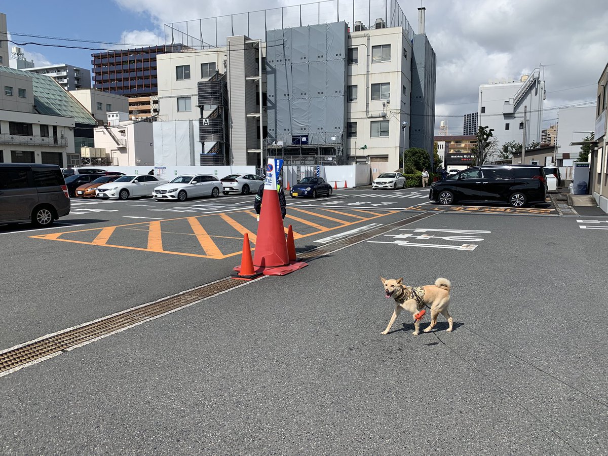 bariqiya's tweet photo. 登録業務の為
開店午後からです。

仮庁舎になってた。 https://t.co/Wi3M6ip8ol