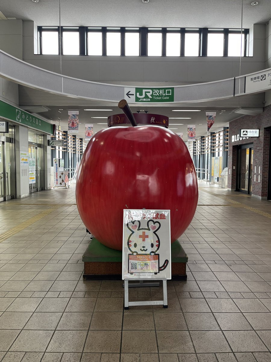Haicando_'s tweet photo. Finally did it!!! Visited Aomori and had so many of their apple themed products. Another one for the checklist. It’s been a pleasure ☺️. Until the next time https://t.co/bG9qQwTugl