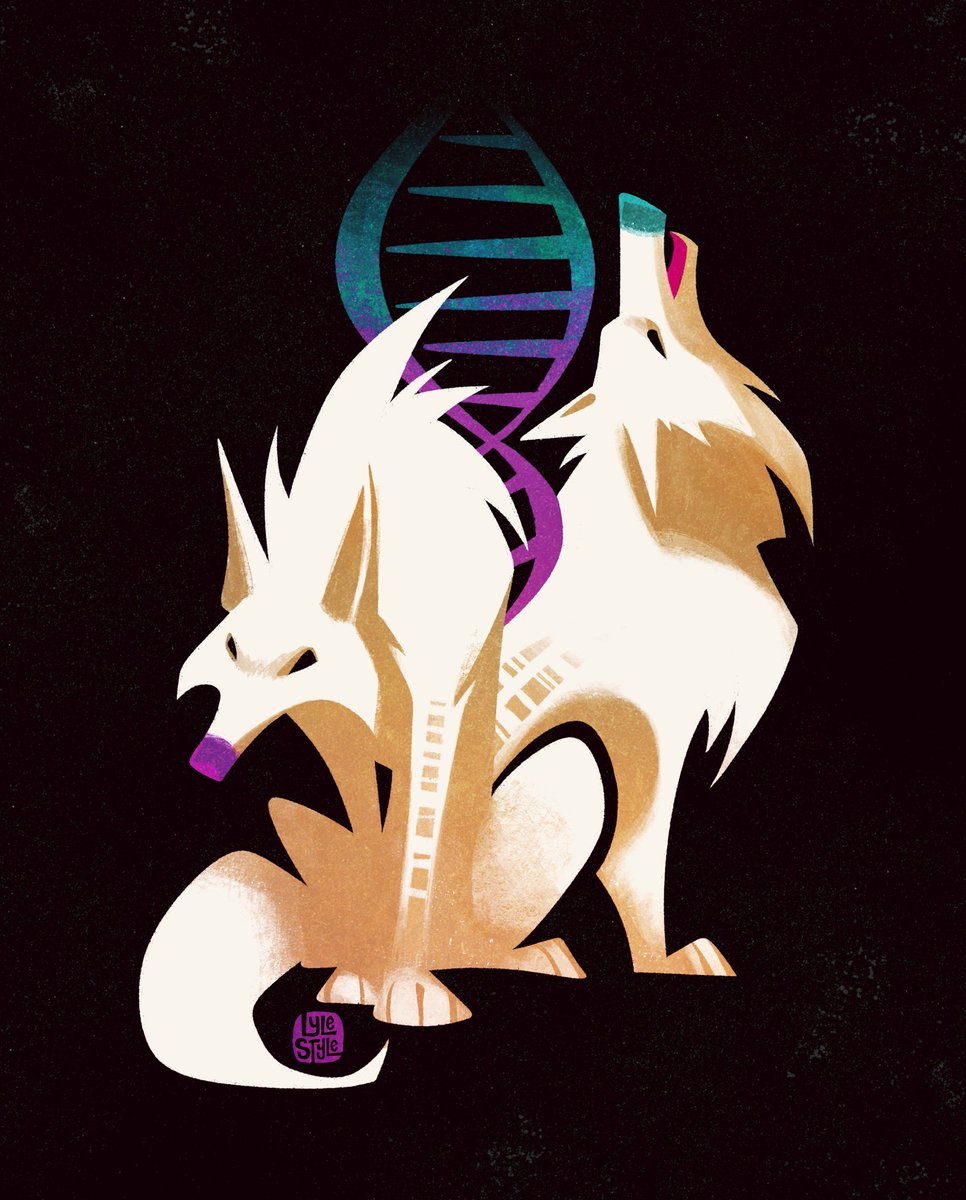 Lyle_Cruse's tweet image. I had fun creating Romulus and Remus, but I bet @colossal did as well 🐺 🐺 🧬 

#DireWolf #colossalbiosciences @BenLamm