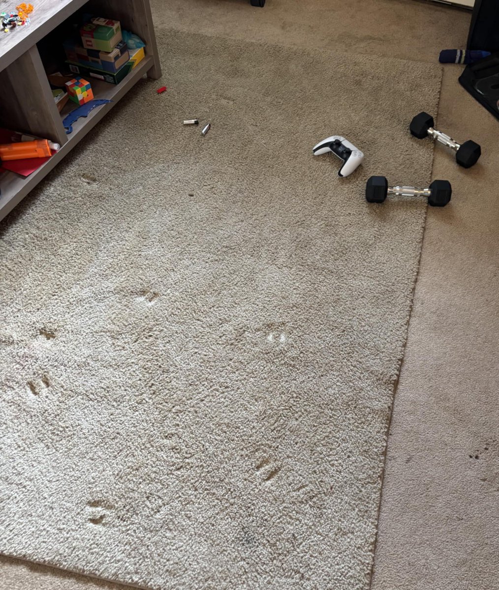 My friend recently moved into a new apartment, where there was apparently a stabbing, leaving a bloody stain on the carpet. The landlords simply placed another piece of rug on top to cover it up and didn't even have it properly cleaned. Is this allowed? It seems so wrong! #yeg