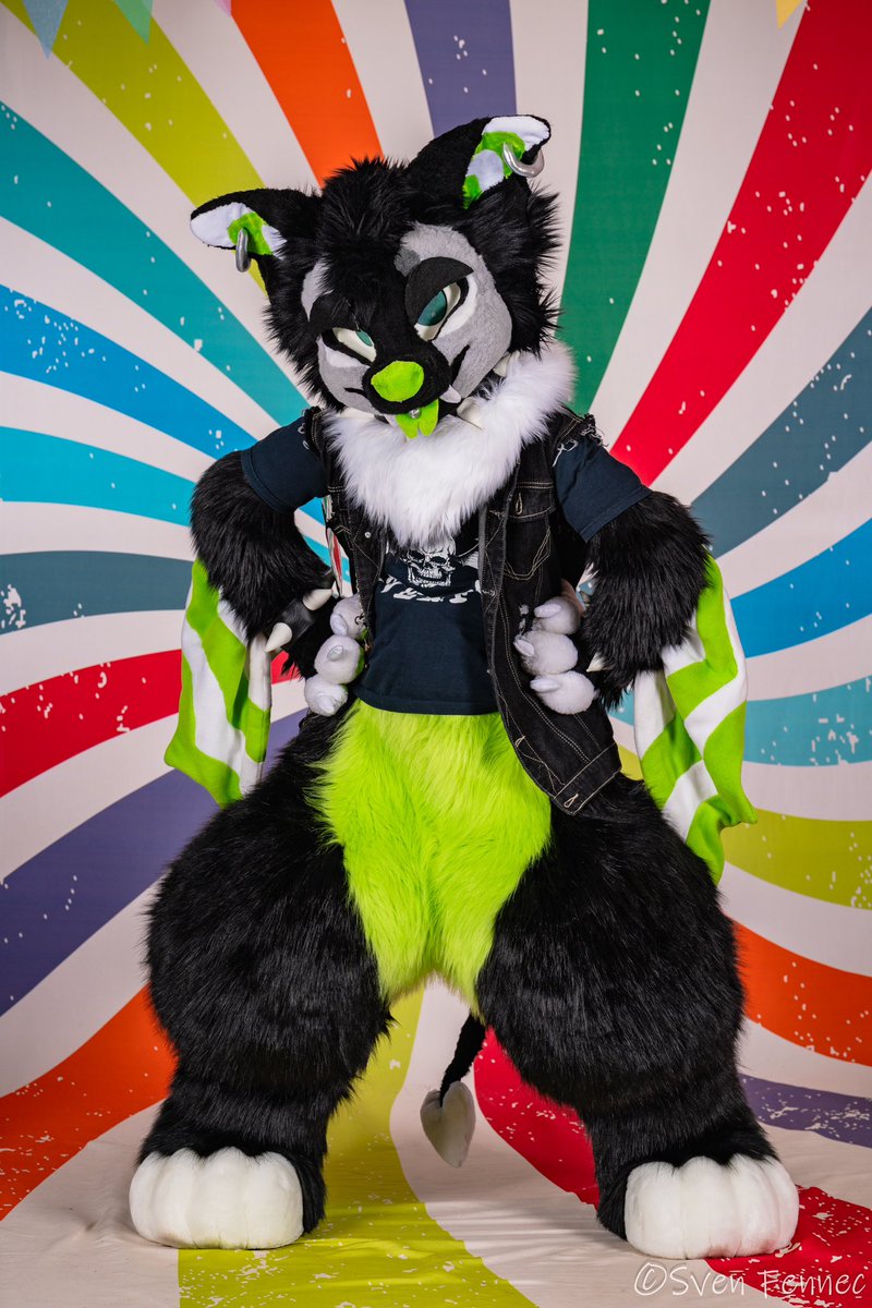 Snickers / Salem 🎃 tweet media